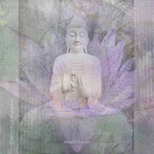 buddha mit lila 900x900