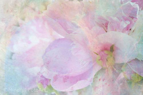 energiebild zum blumenmond